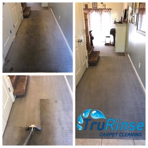 Photo of Trurinse Carpet Cleaning