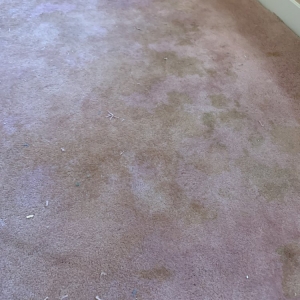 Photo of Trurinse Carpet Cleaning