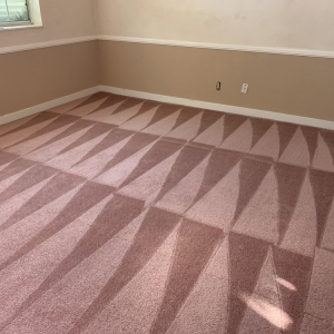 Photo of Trurinse Carpet Cleaning