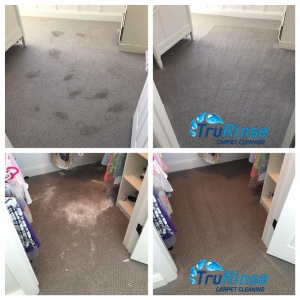 Photo of Trurinse Carpet Cleaning