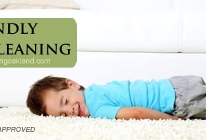 Photo of East Bay Carpet Cleaning
