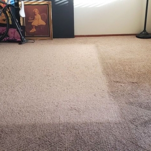 Photo of East Bay Carpet Cleaning