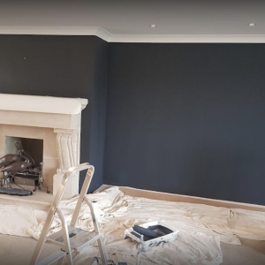 Photo of Aria Paint
