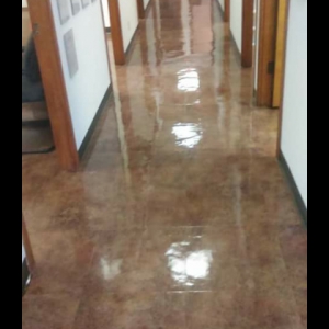 Photo of Carrier Carpet and Floor Care