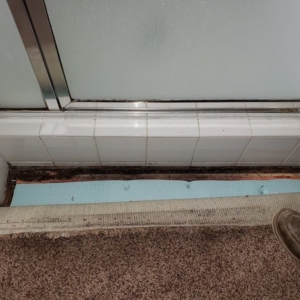 Photo of 1 Day Mold Removal