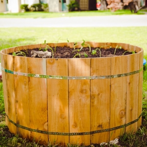 Photo of Yard to Table Gardens