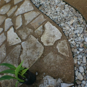 Photo of Yard to Table Gardens