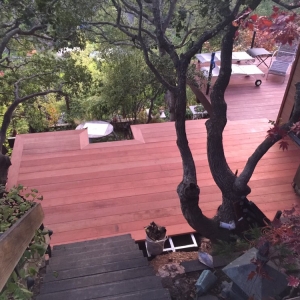 San Rafael MT Landscaping