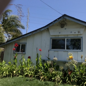 Photo of GreenLiving