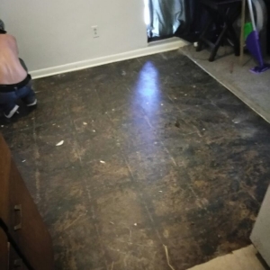 Photo of Totally Kleen