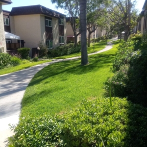 Photo of Robinwood Plaza Apartments