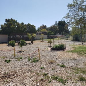 Photo of Robinwood Plaza Apartments