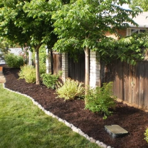 Photo of Local Edge Lawn Care