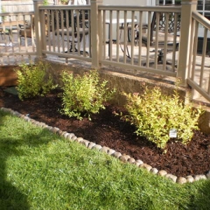 Photo of Local Edge Lawn Care