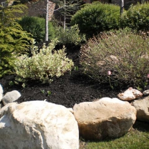Photo of Local Edge Lawn Care