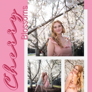 Photo of When Skies Are Grey Photography by Denise