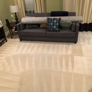 Photo of DMV Carpet Cleaning