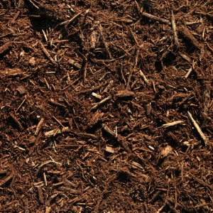 Photo of The Gardener's Choice & Randy Brown Landscape