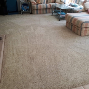 Photo of Miracle Services Green Carpet Cleaning