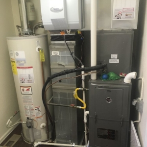 Photo of Squeaks Services