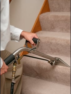 Photo of Stephson Carpet Cleaning