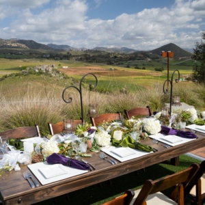 Photo of Hillside Ranch Vineyard
