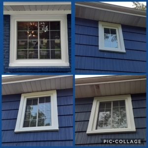 Photo of Window Masters