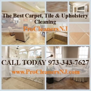 Photo of ProCleanersNJ