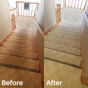 Photo of Riley Carpet Care