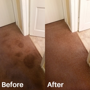 Photo of Riley Carpet Care