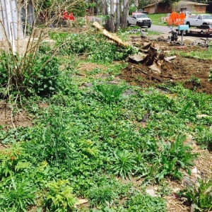 Photo of Adame Landscaping