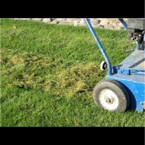 Photo of Adame Landscaping