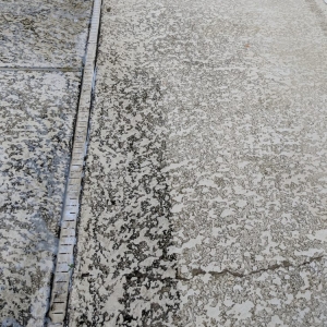 Photo of Go Roberts Power Wash
