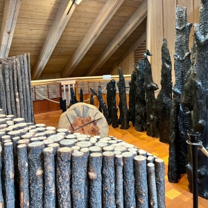 Photo of World Forestry Center