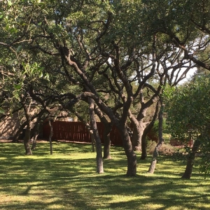 Photo of The Tree Pro
