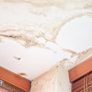 Photo of Reynolds Restoration Services