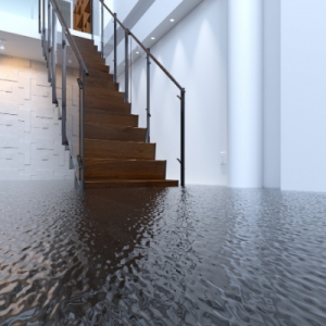 Photo of Reynolds Restoration Services
