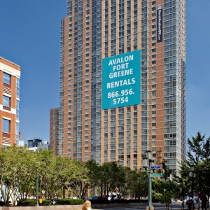 Photo of AVA Fort Greene