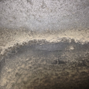Photo of Pro Steamer Carpet Cleaner