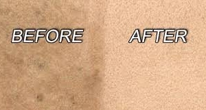 Photo of Pro Steamer Carpet Cleaner