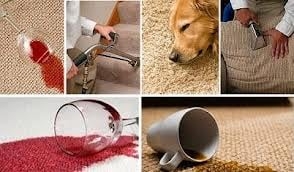 Photo of Pro Steamer Carpet Cleaner