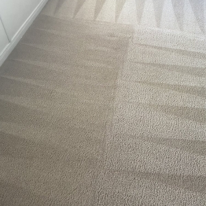 Photo of Chad's Carpet Care