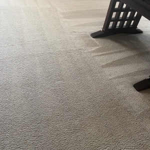 Photo of Chad's Carpet Care