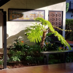 Photo of The Monterey Offices