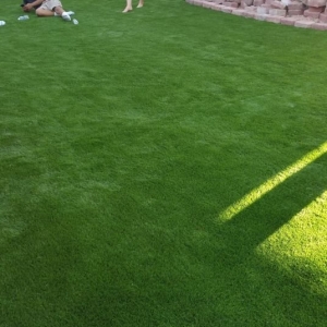 Photo of Purchase Green Artificial Grass