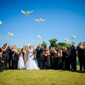 Photo of St Louis Doves Release Company