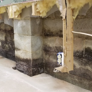 Photo of Basement Pros
