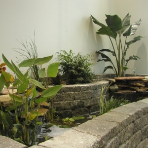 Photo of Hall Brothers Landscaping & Construction