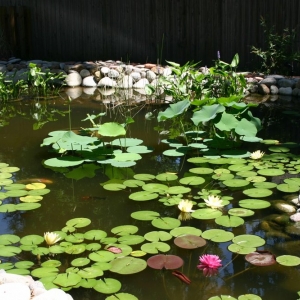 Photo of Hall Brothers Landscaping & Construction