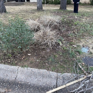 Photo of Going The Extra Mile Landscaping & Lawn Maintenance